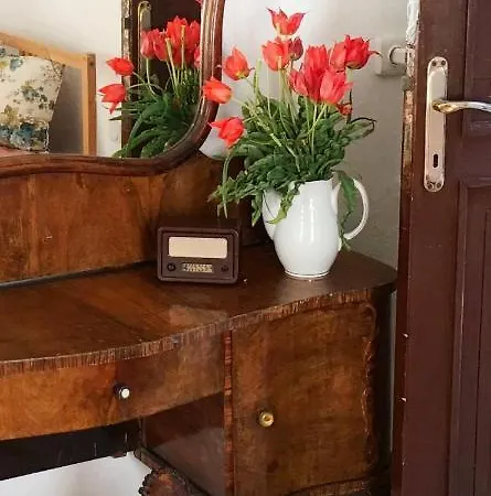 Guest house Bandha